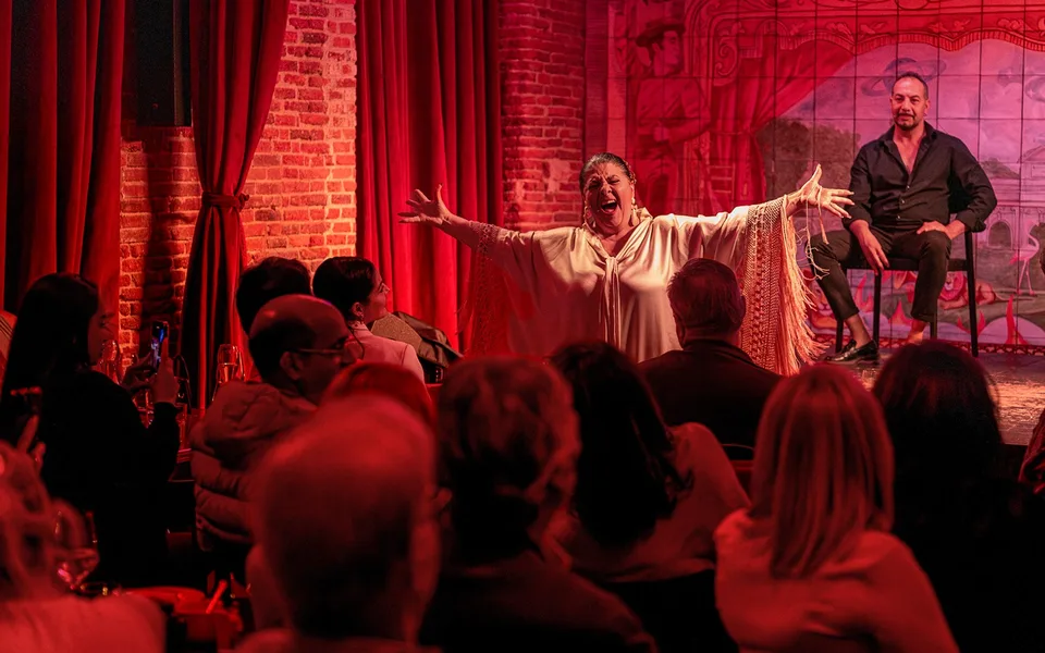 The audience facing a red-lit Flamenco de Leones stage